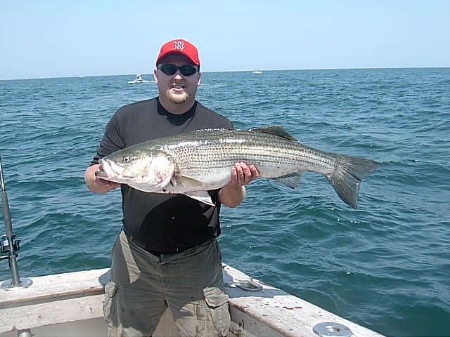 Striped Bass Fishing RI